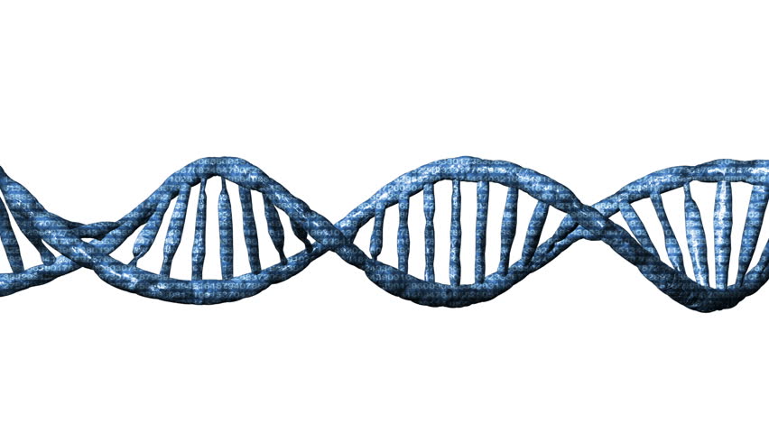 DNA testing of the highest quality - strict sampling procedure | PiGen