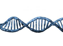 Hoe uw DNA testen aanvragen?